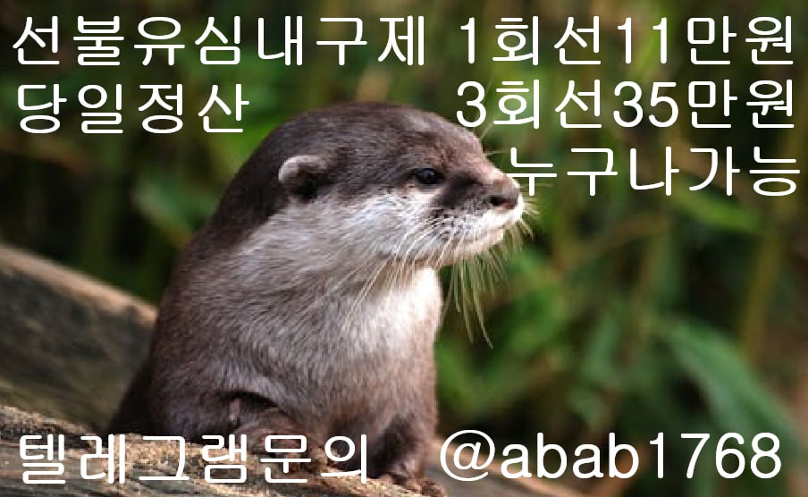 선불유심내구제 유심내구제 내구제 고액알바 급전 소액결제 소액대출 당일대출 비대면급전 가전내구제 상조내구제 (28).jpg