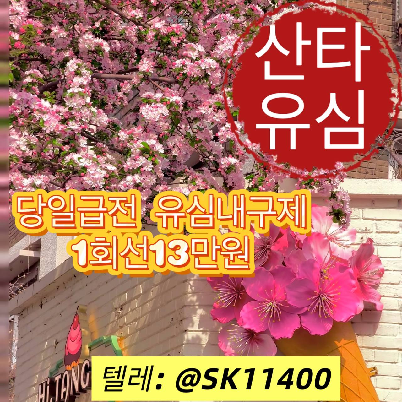 사진  (88).jpg
