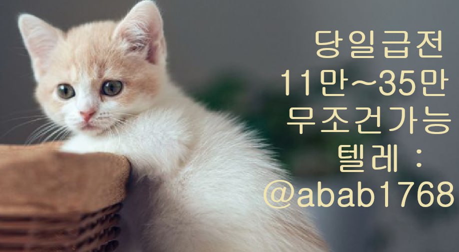 선불유심내구제 유심내구제 내구제 고액알바 당일대출 당일급전 비대면대출 비대면급전 (52).jpg