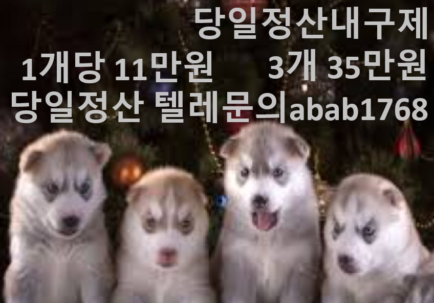 선불유심내구제 유심내구제 내구제 당일급전 소액대출 비대면당일대출 무피해내구제 내구제당일정산 (19).jpg