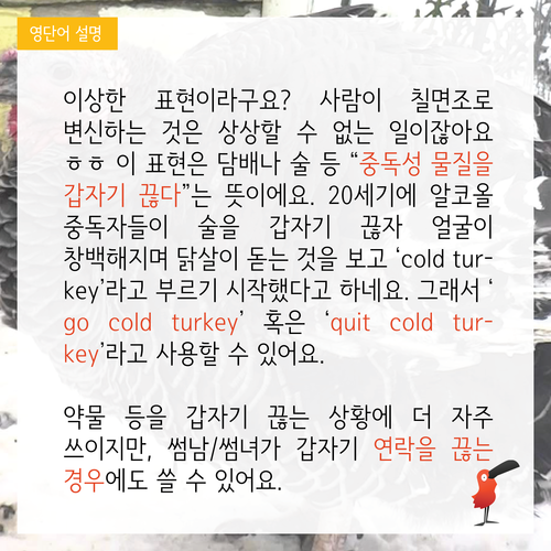 Cold Tur 가라 차가운 칠면조!! ㄴㄴ 그런 뜻 아님 go cold turkey - 캠블리 - 건국대학교 커뮤니티 KUNG